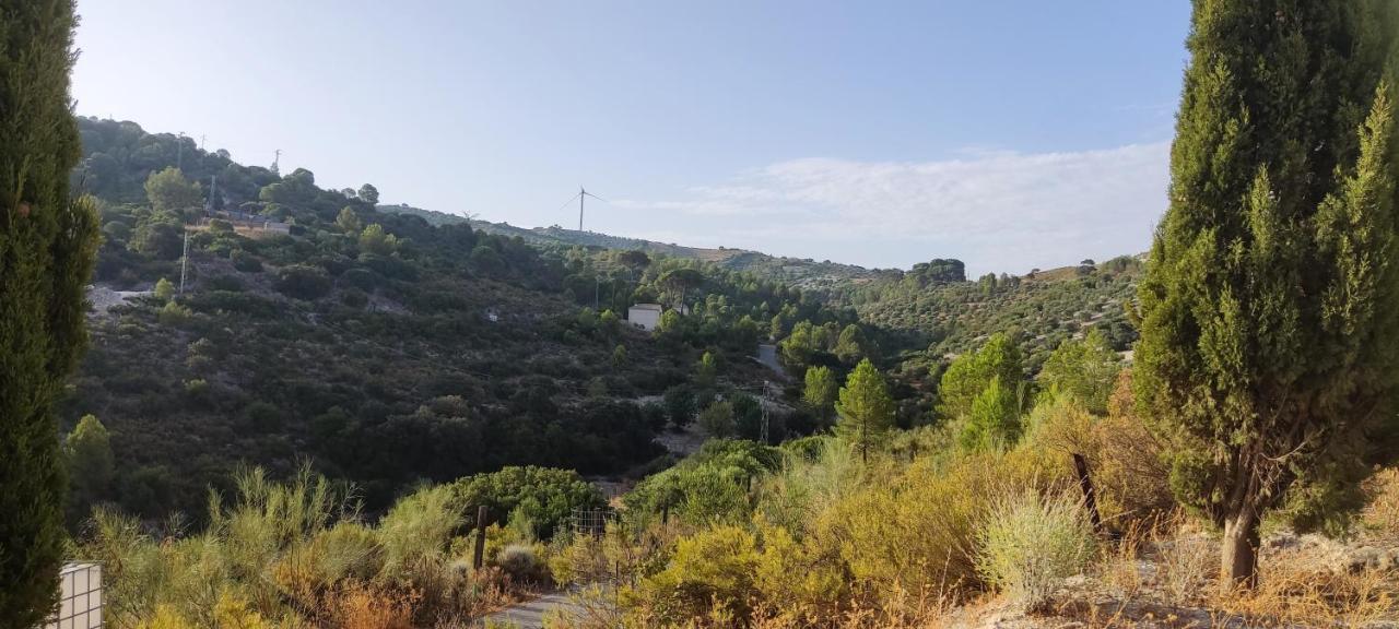 Casas Rurales Las Vinas Osuna Eksteriør bilde
